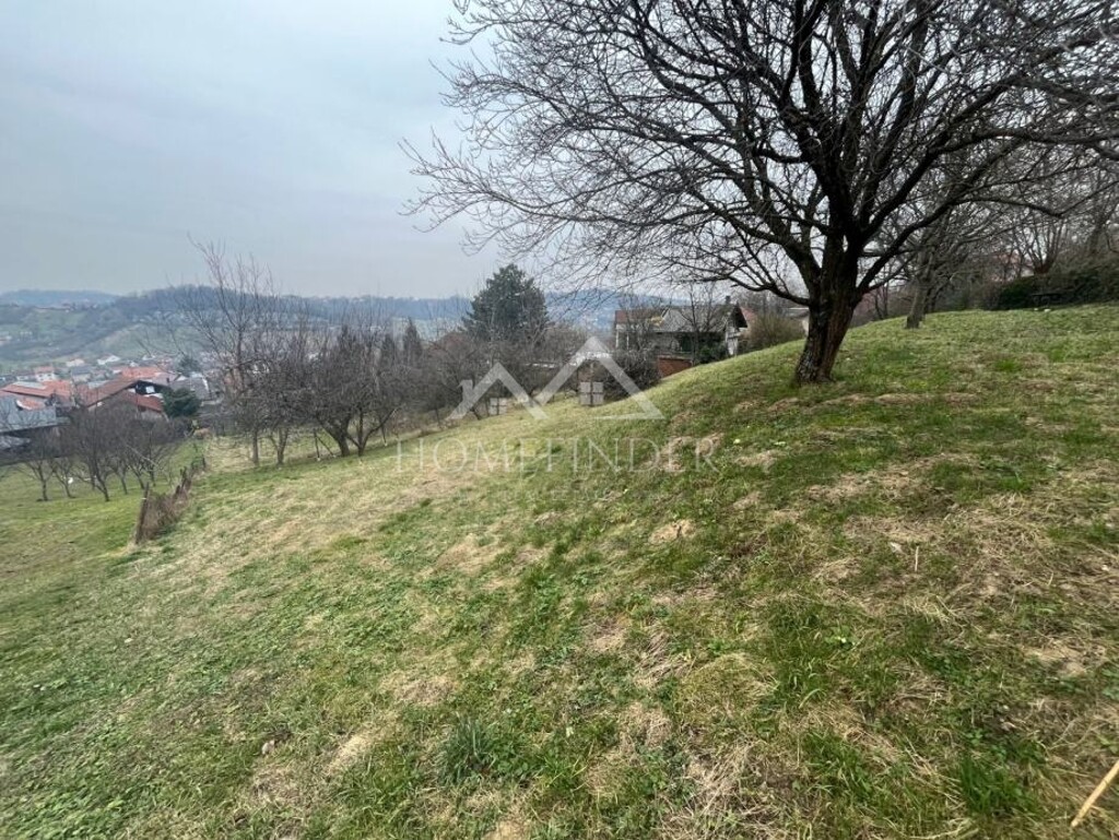Image 6338607 - 2
