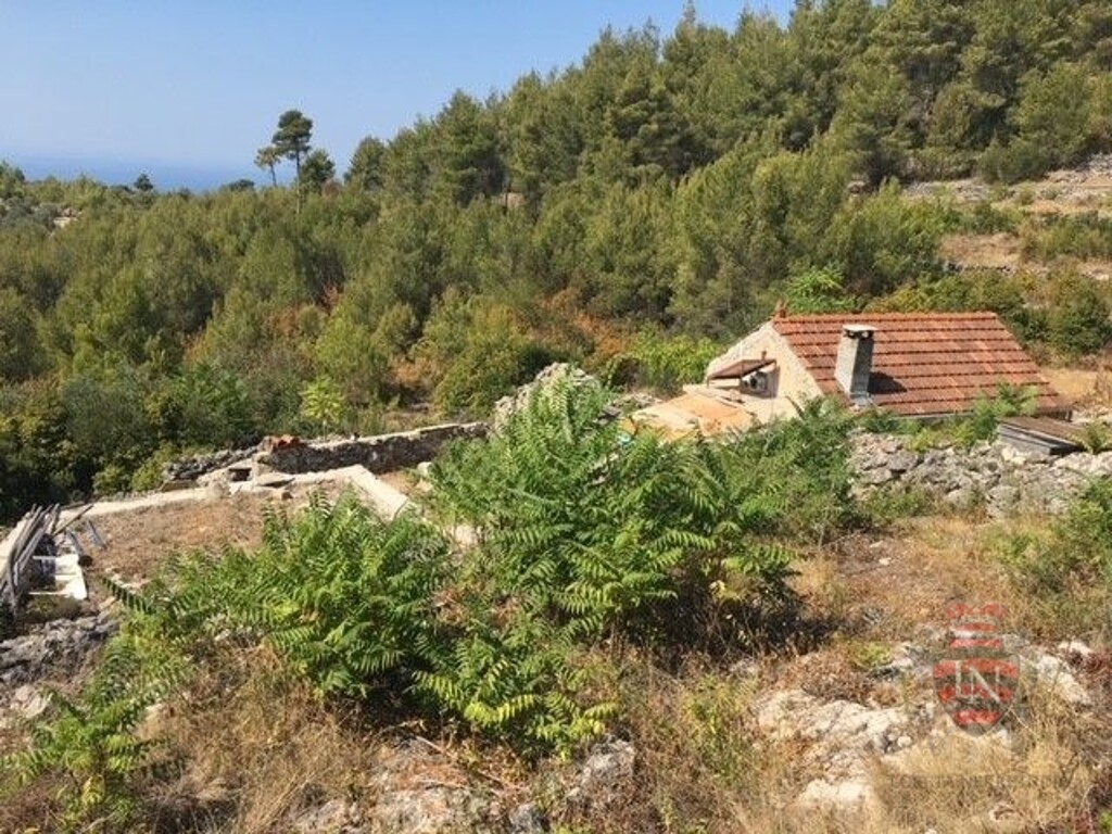Image 6338799 - 1