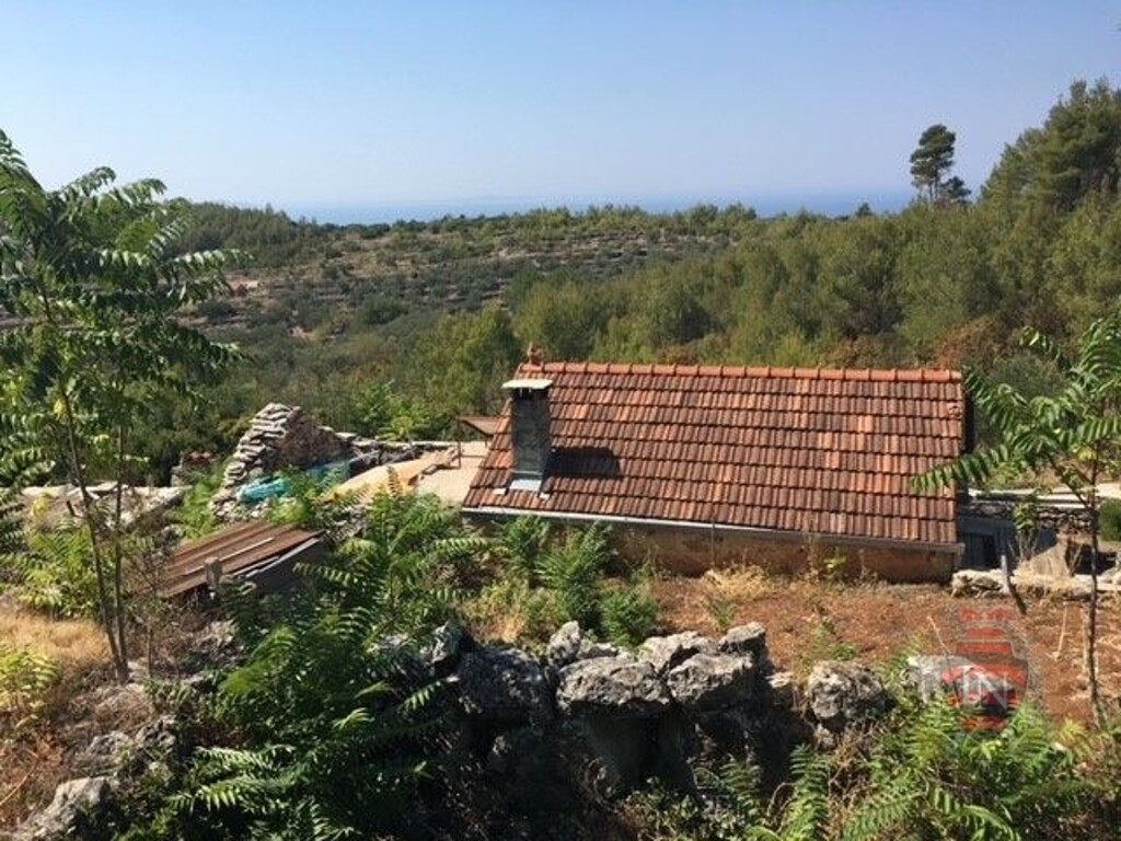 Image 6338799 - 2
