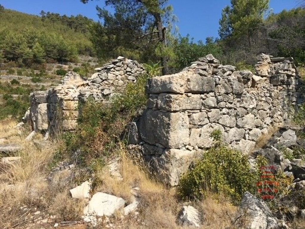 Image 6338799 - 3