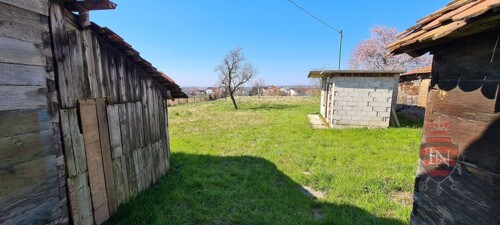 Thumbnail 6338802 - 4