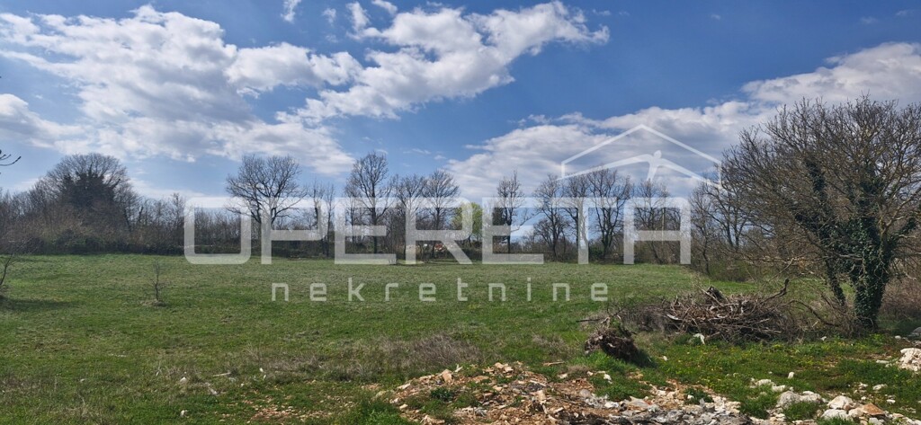 Image 6338915 - 1