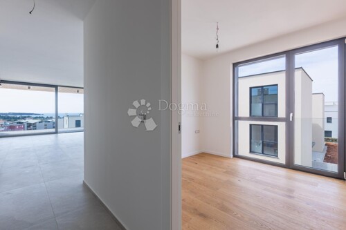 Thumbnail 6339086 - 5