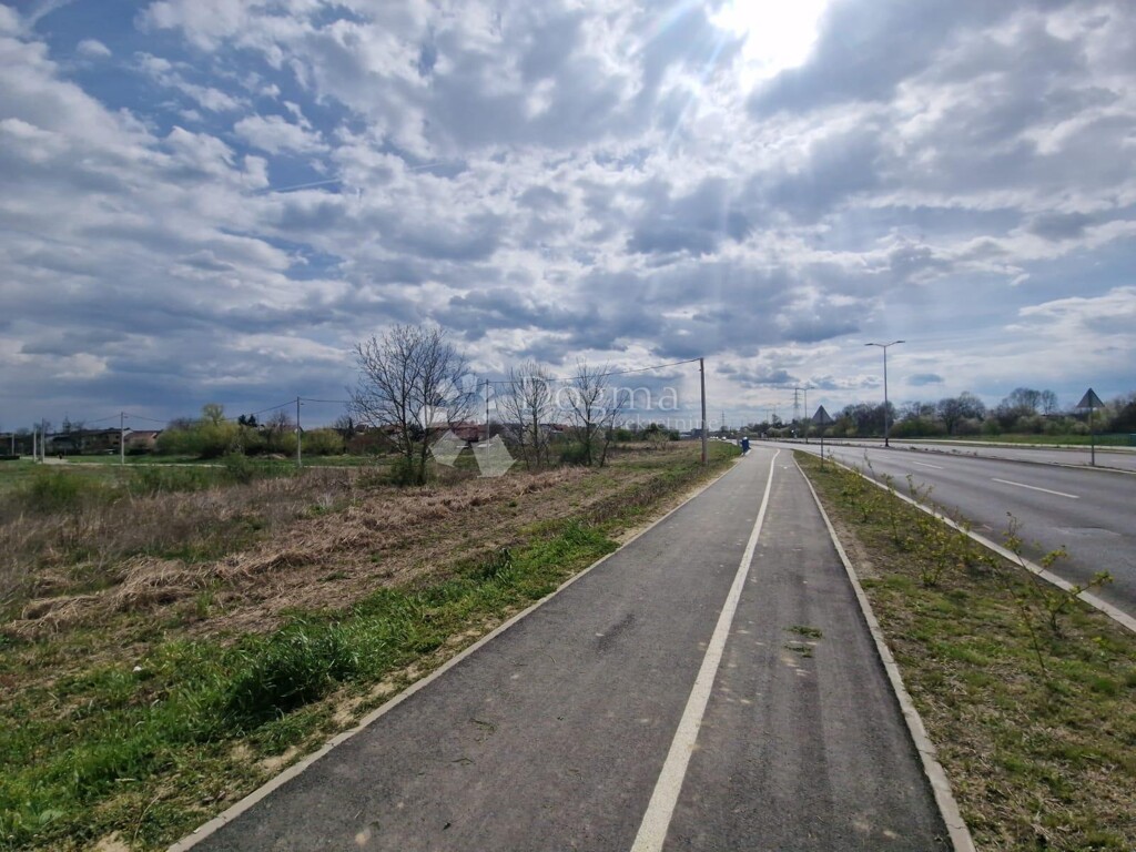Image 6339094 - 5