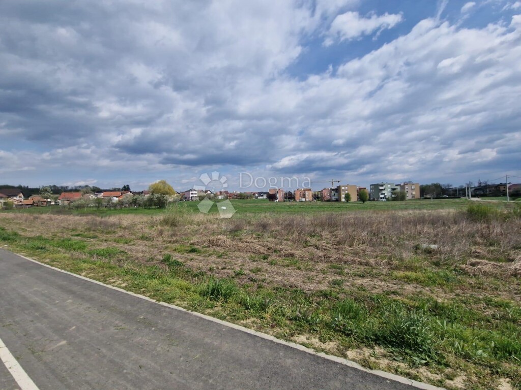 Image 6339094 - 7