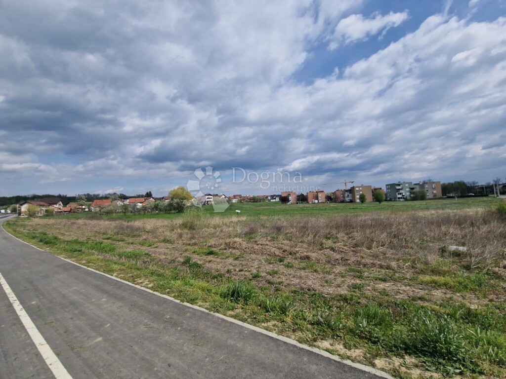 Image 6339094 - 1