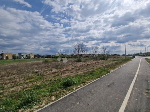 Thumbnail 6339094 - 6