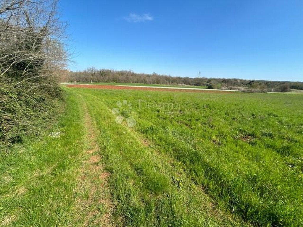 Image 6339102 - 2