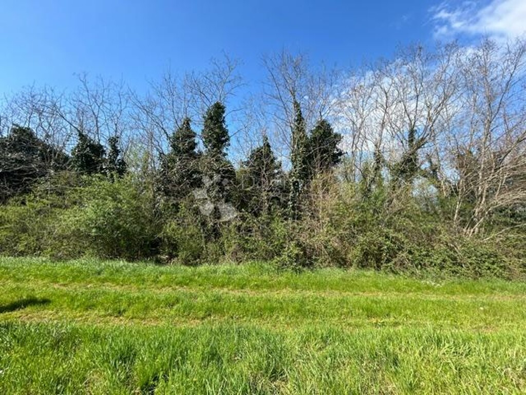 Image 6339102 - 6