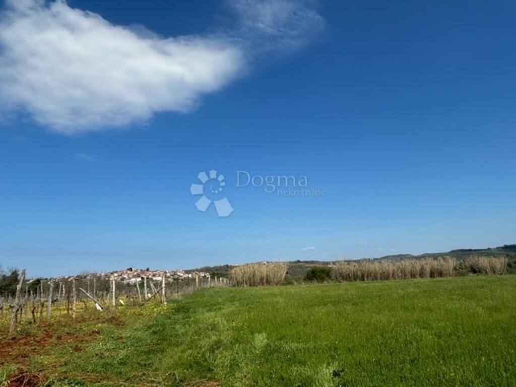 Image 6339102 - 8