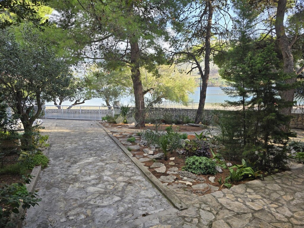 Image 6339121 - 25