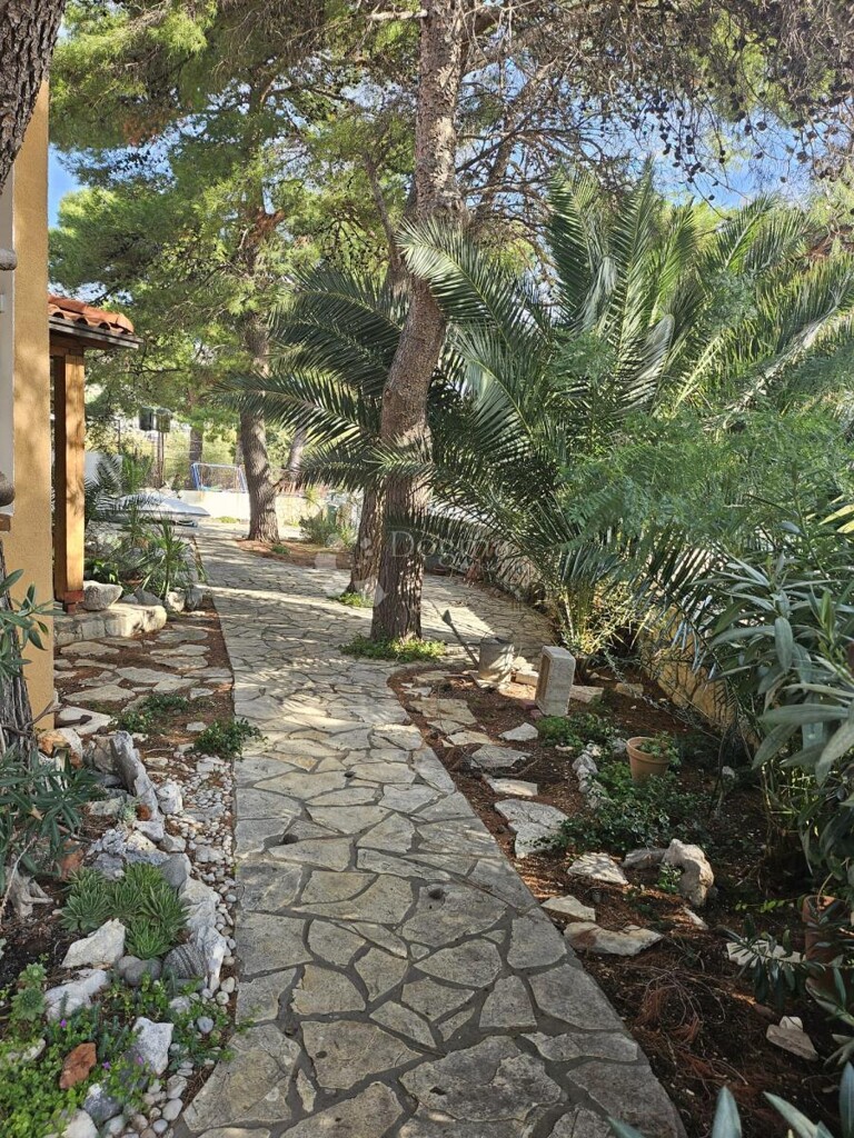 Image 6339121 - 15