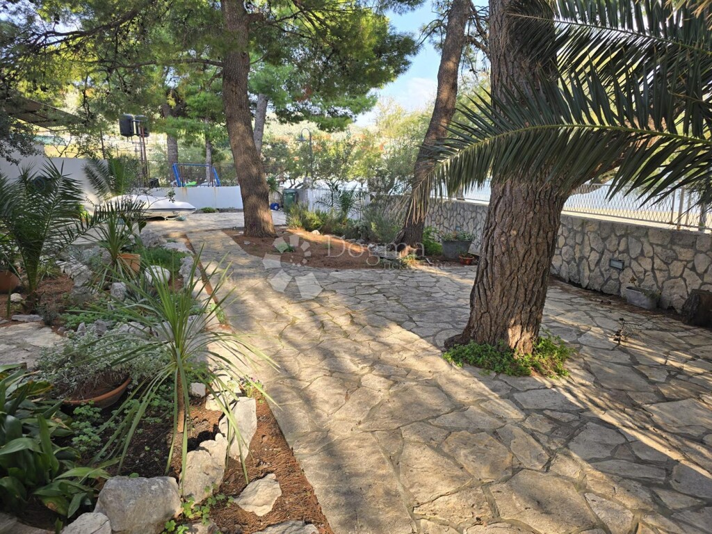 Image 6339121 - 7