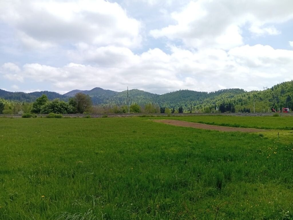 Image 6339158 - 1