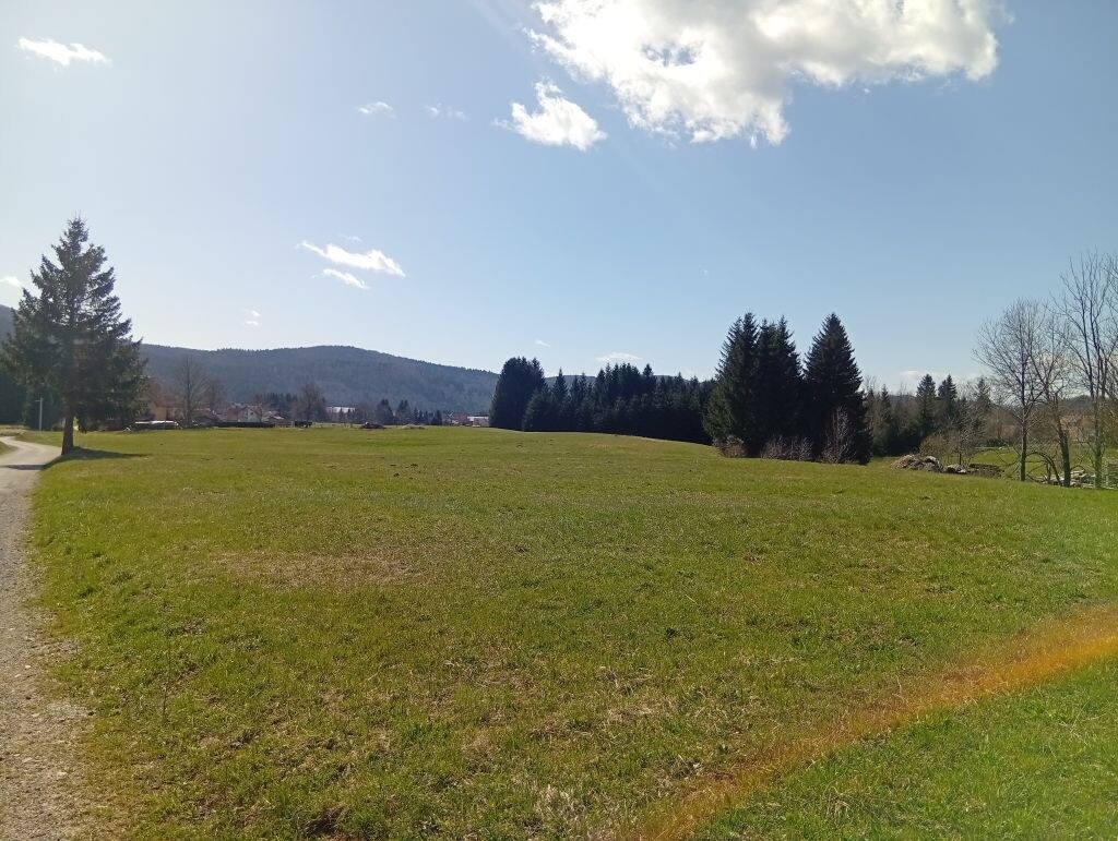 Image 6339159 - 1