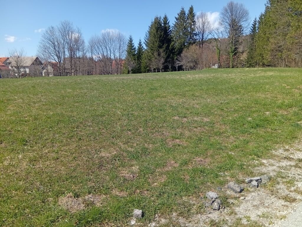 Image 6339159 - 2