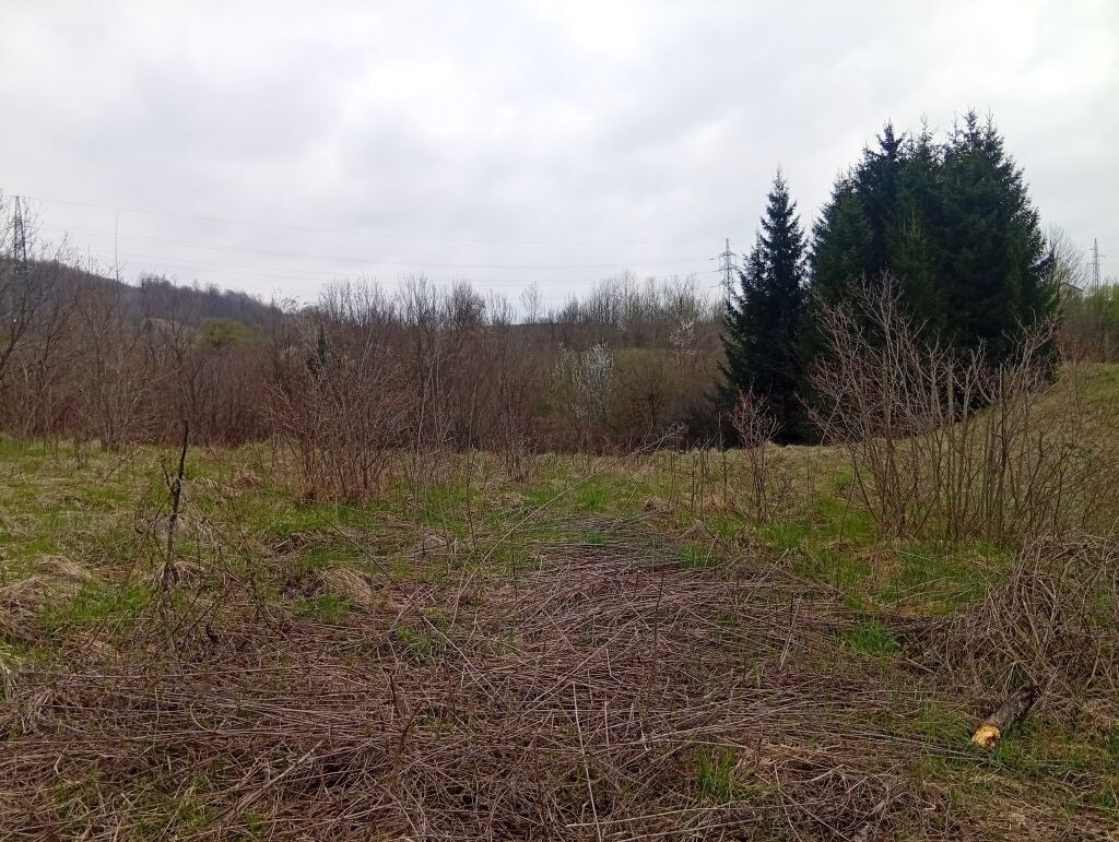 Image 6339160 - 2