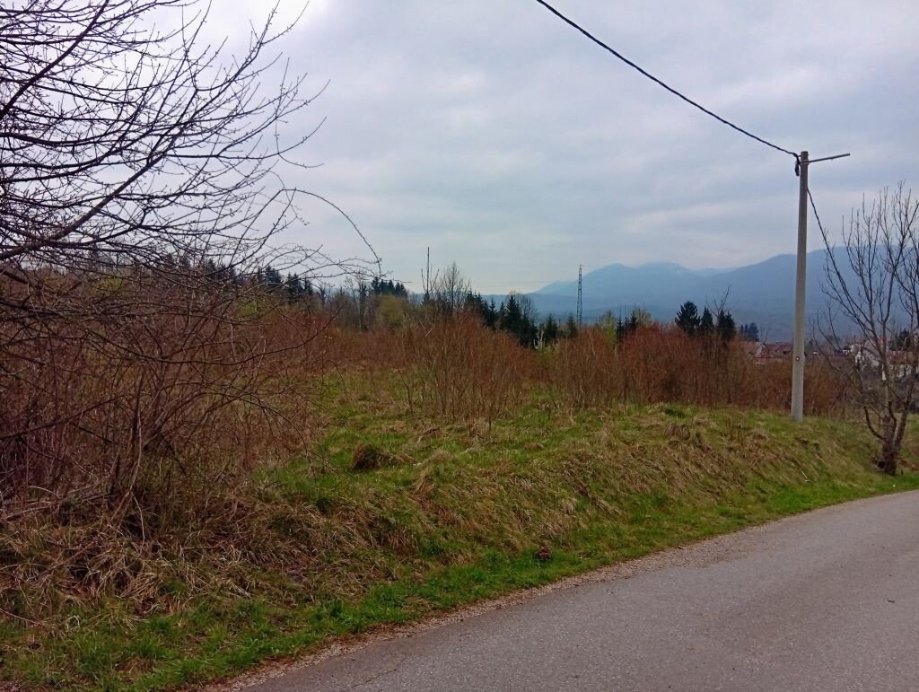 Image 6339160 - 4