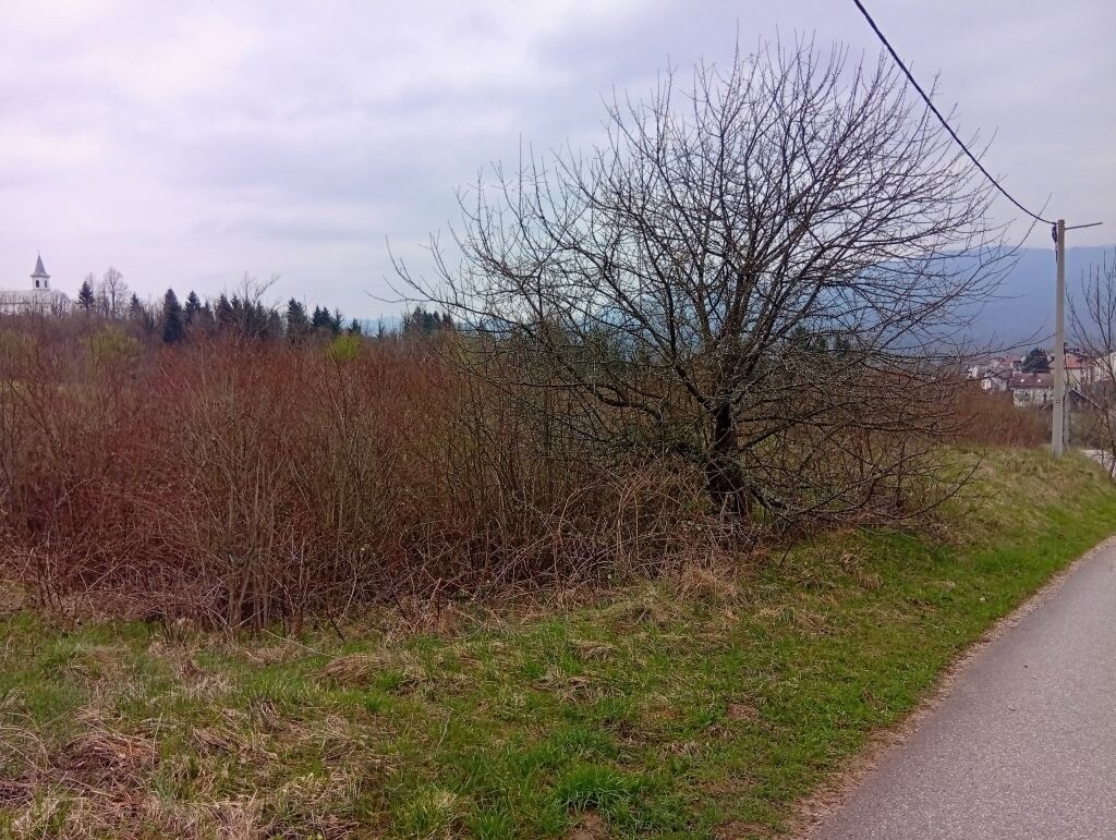 Image 6339160 - 1