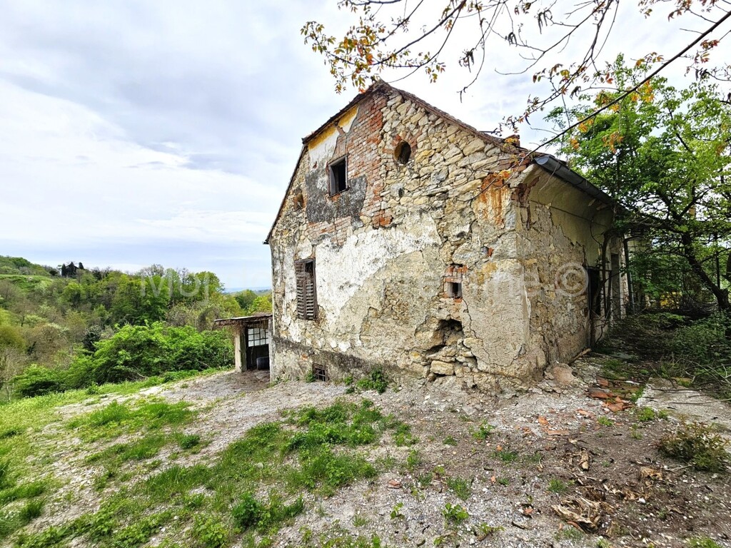 Image 6339212 - 1