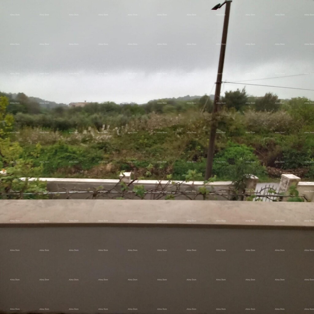 Image 6339240 - 5