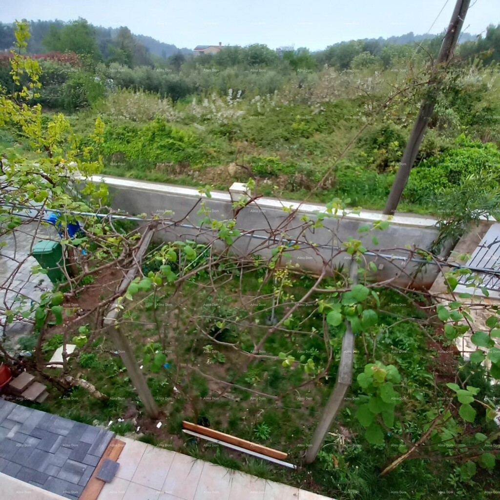 Image 6339240 - 7