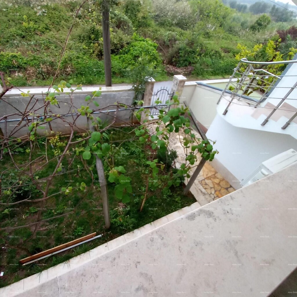 Image 6339240 - 6