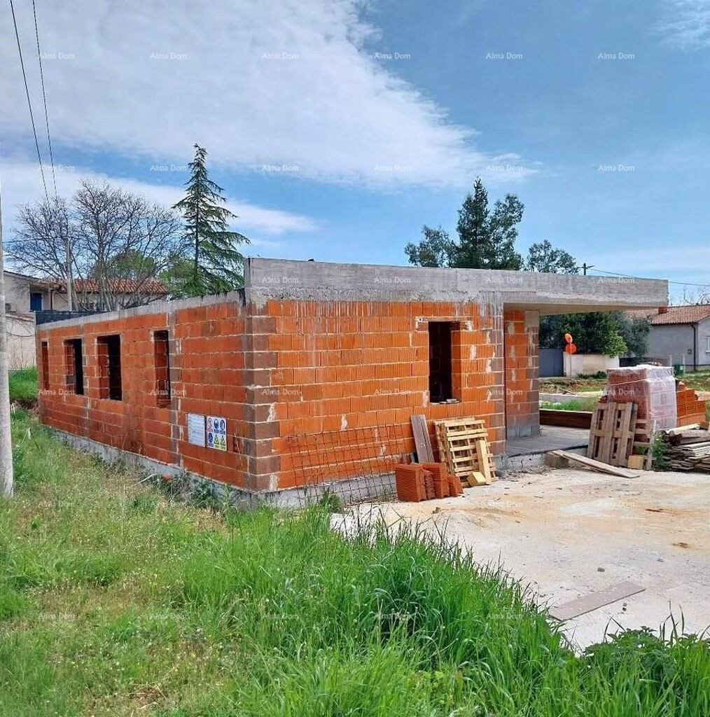 Image 6339263 - 8