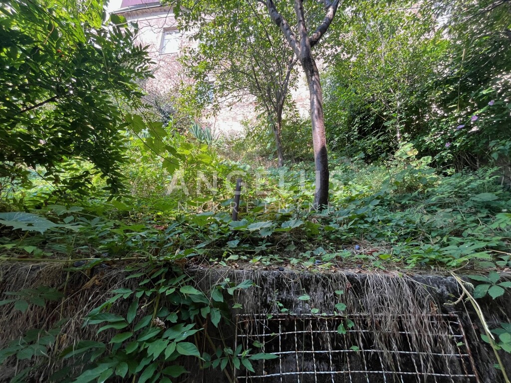 Image 6339268 - 2