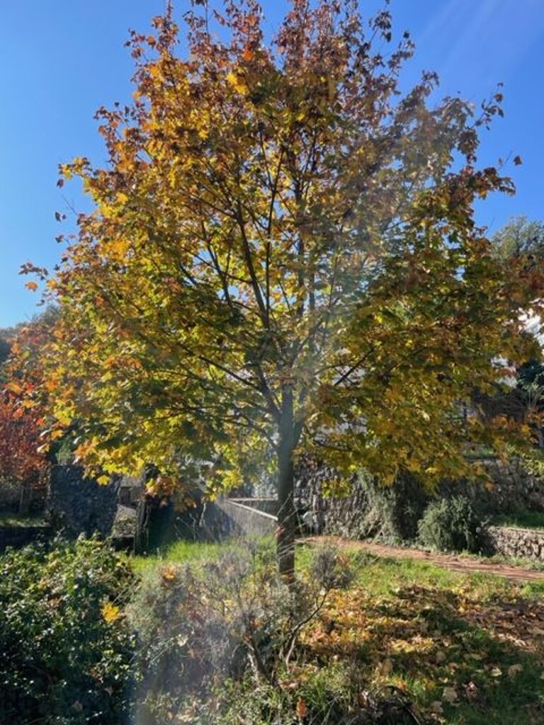 Image 6339305 - 12