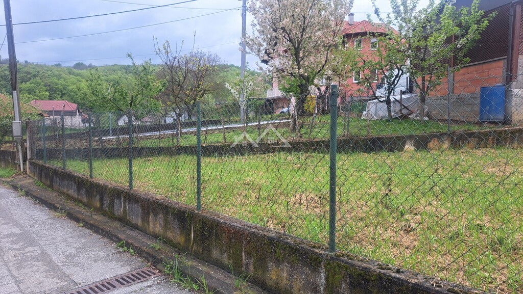 Image 6339308 - 1