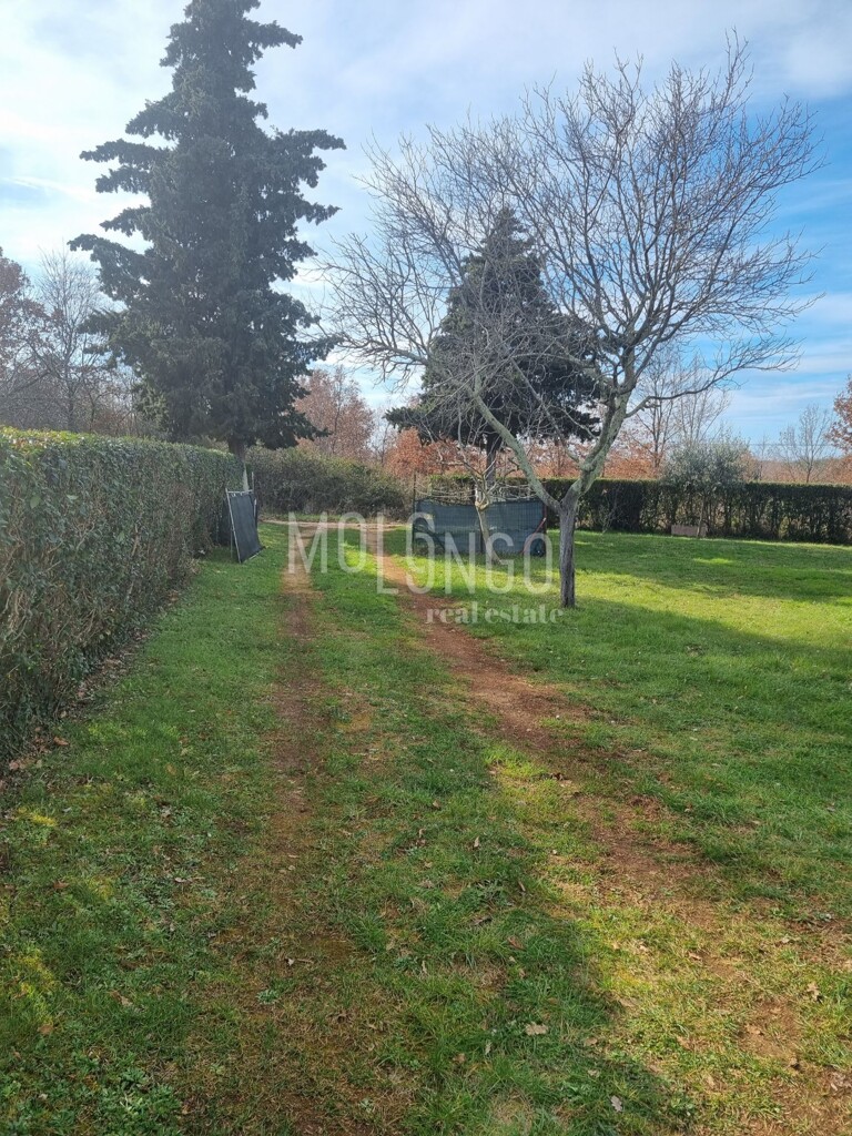 Image 6339339 - 2