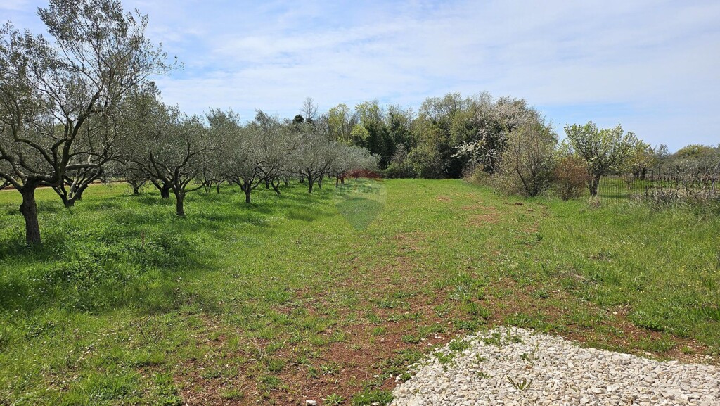 Image 6339389 - 1