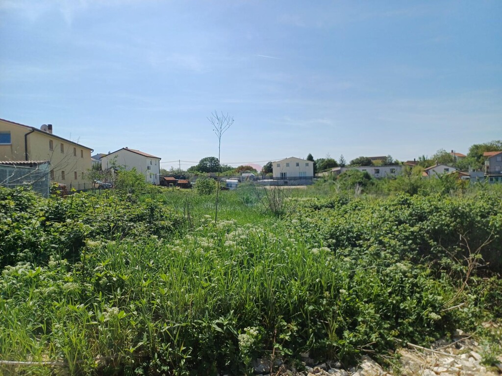 Image 6339400 - 3
