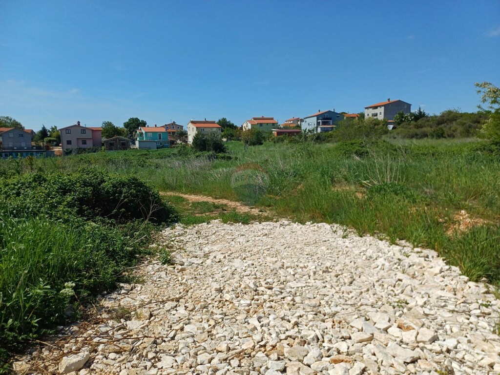 Image 6339400 - 1