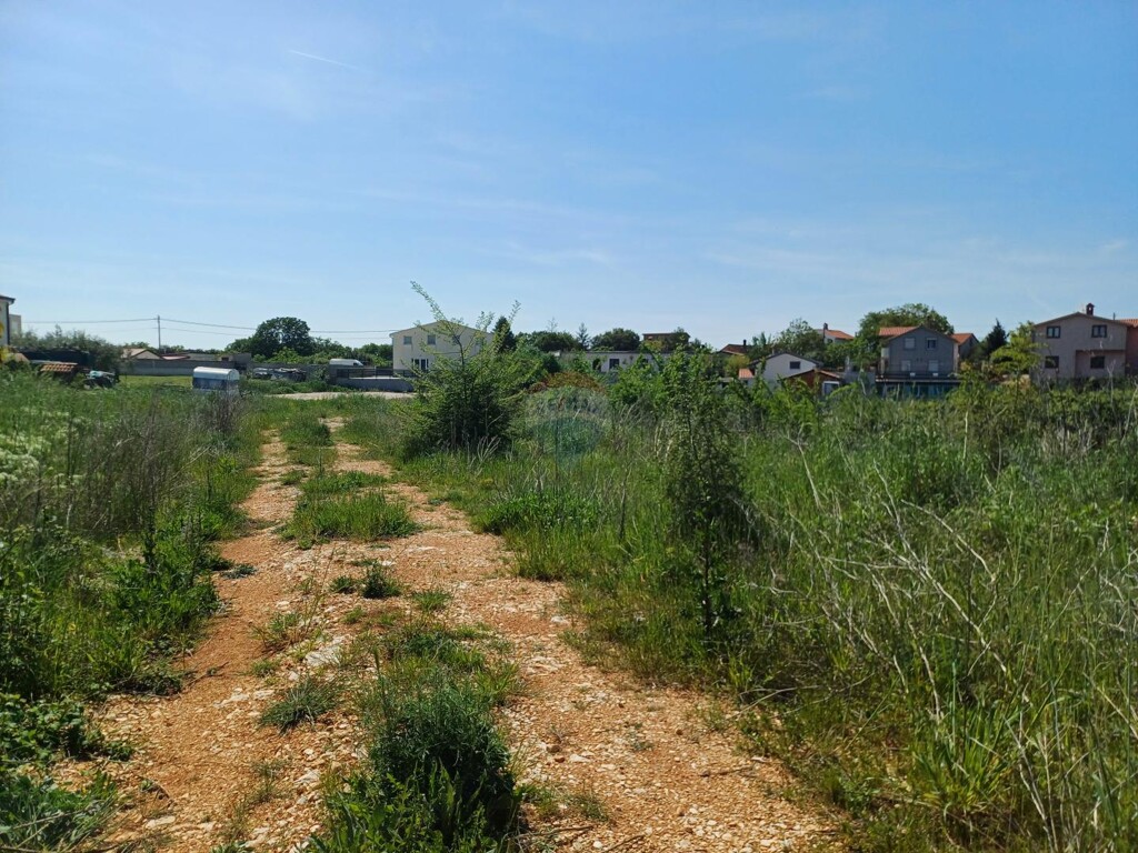 Image 6339400 - 2