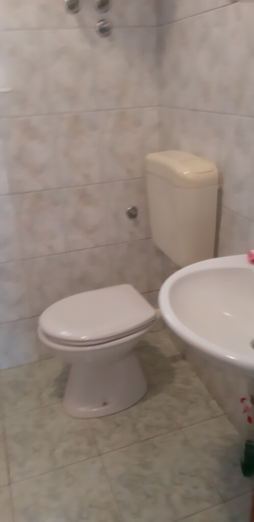 Image 13