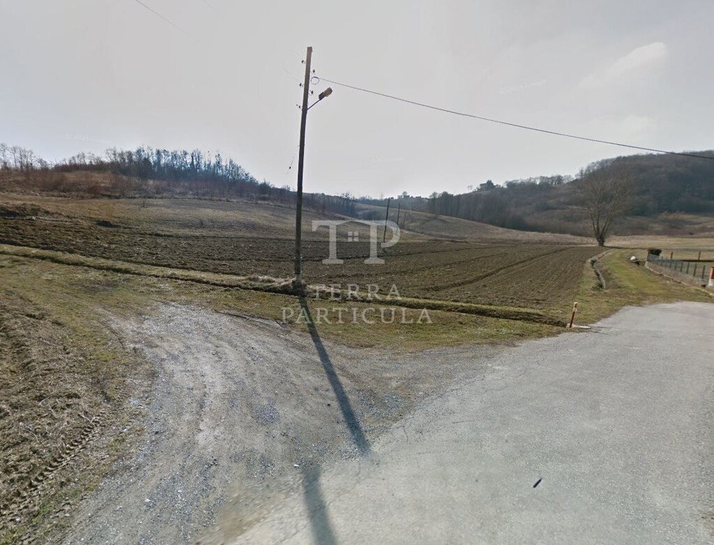 Image 6339711 - 5