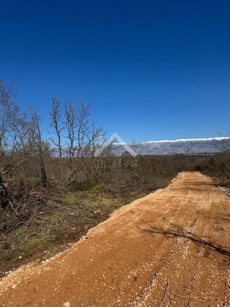 Image 6339712 - 1