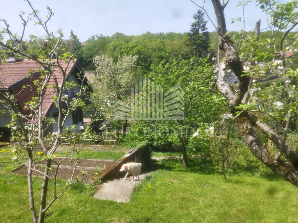 Image 6339729 - 10