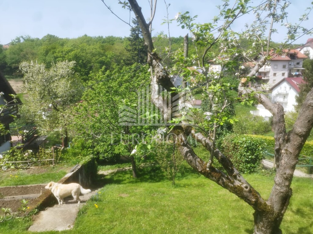Image 6339729 - 7