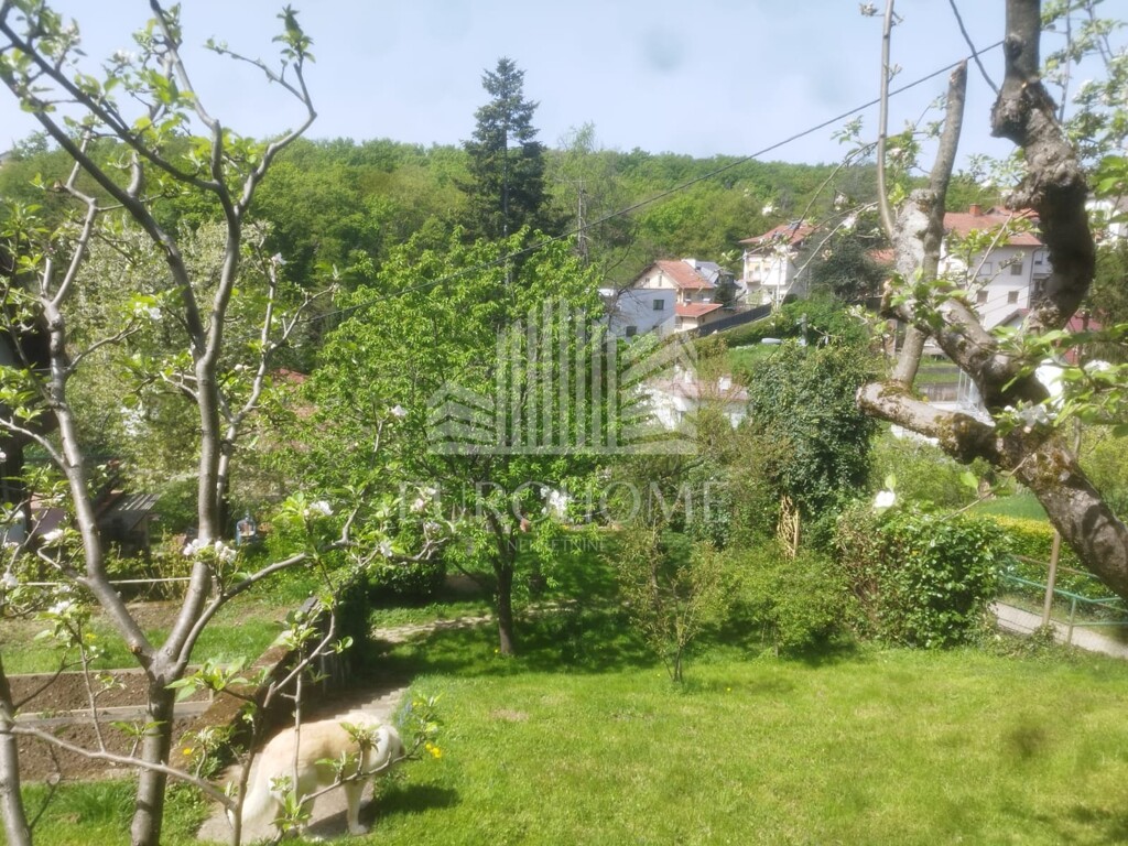Image 6339729 - 5