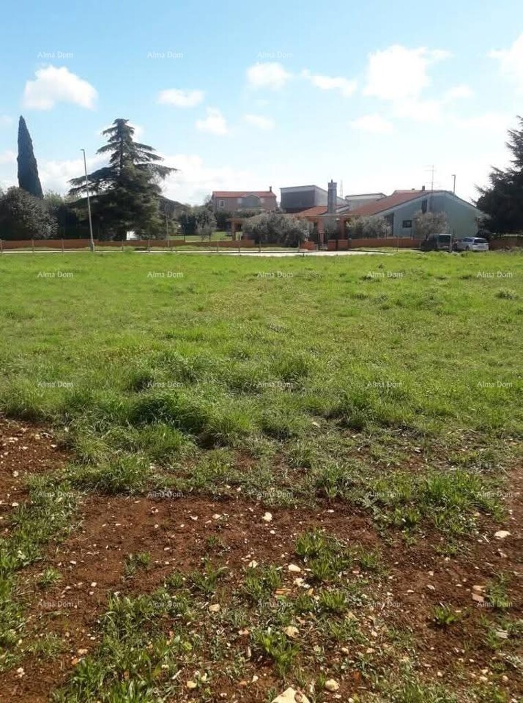 Image 6339780 - 1