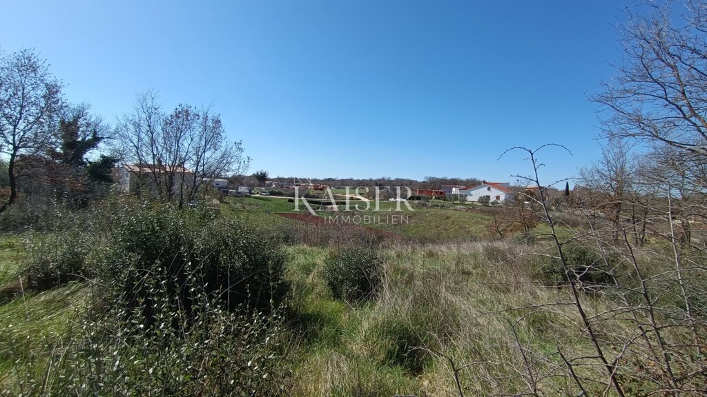 Image 6339827 - 4