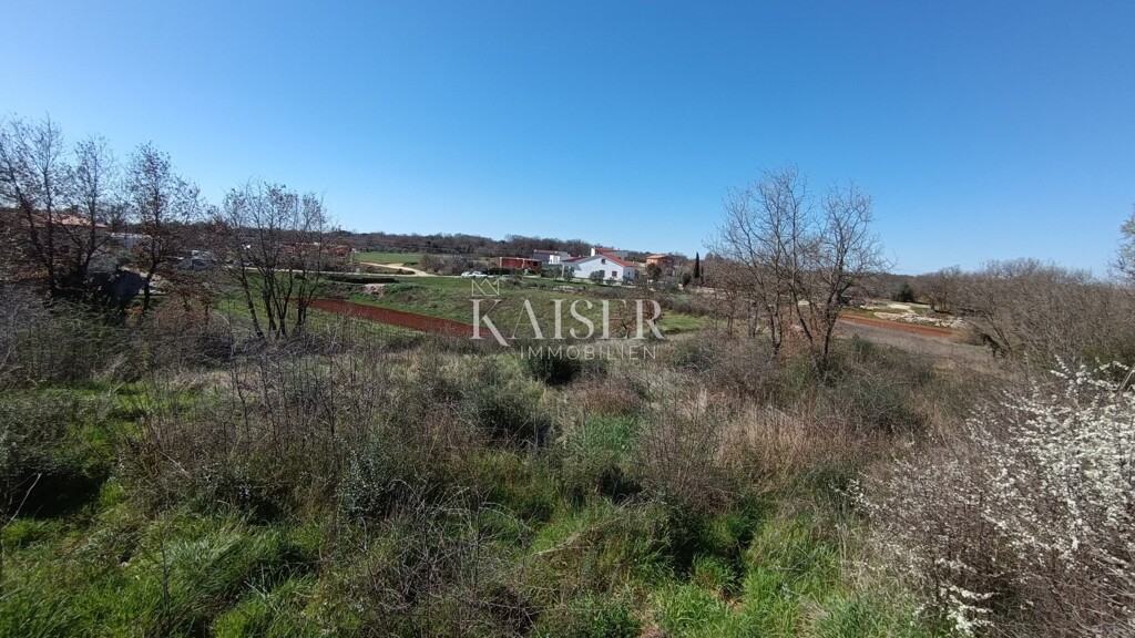 Image 6339827 - 6