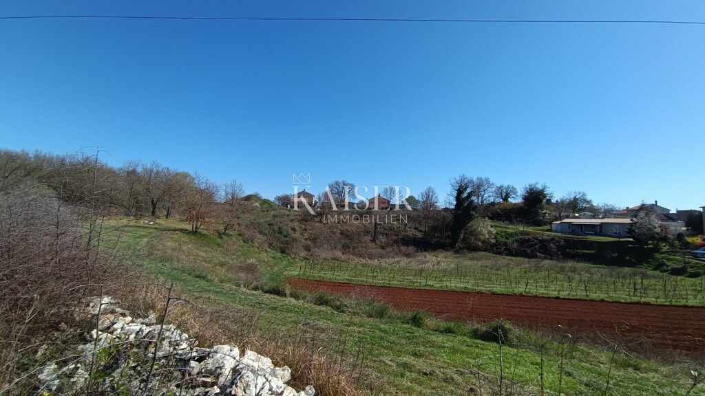 Image 6339827 - 1