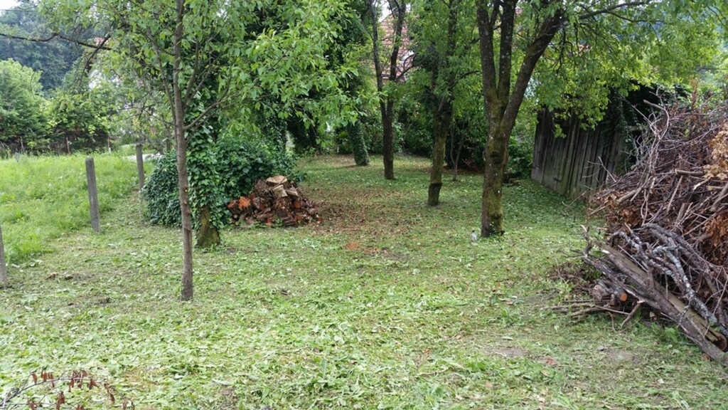Image 6339883 - 1