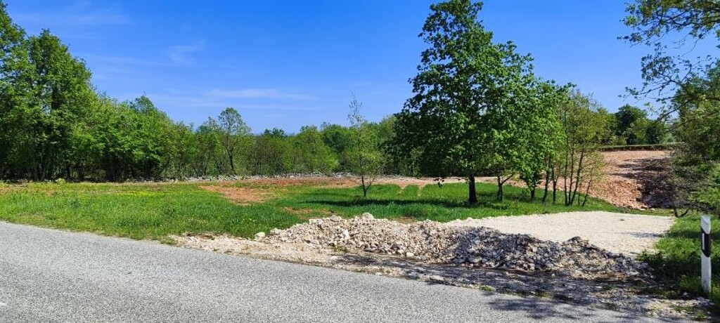 Image 6339906 - 1