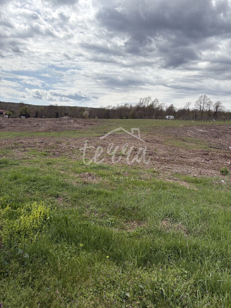 Image 6340040 - 1