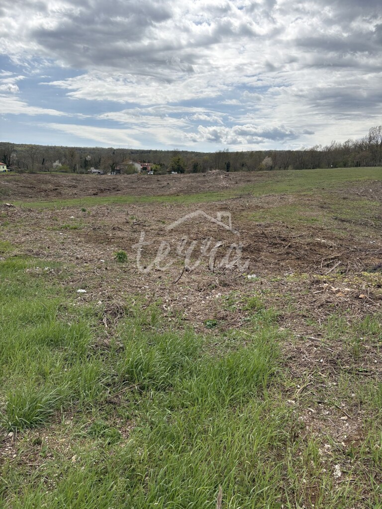 Image 6340040 - 5